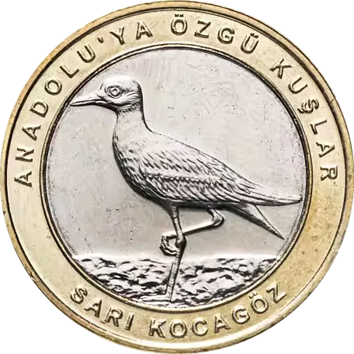 Sarı Kocagöz